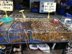 -蚝得喜海鲜(东城店)