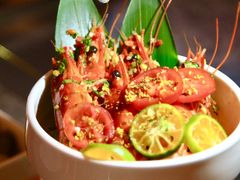 -Hi City·城市之巅