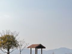 -良渚古城遗址公园