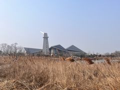 -盐城丹顶鹤湿地生态旅游区