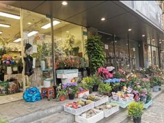 -本溪路花鸟市场(江浦路1709弄小区店)