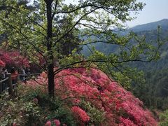 -木兰云雾山