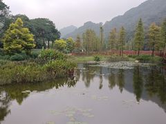 -广州市石门国家森林公园