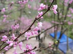 -天台山赤城山景区