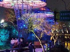 -运河游船(武林门码头)