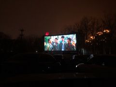 -枫花园汽车电影院(朝阳公园店)