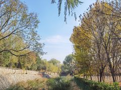 -永定河休闲森林公园