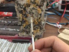 -情侣·团建·手作工坊(虹桥汇金百货店)