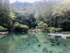 -灵栖洞天
