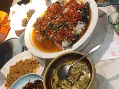 -洞庭家宴·头牌甲鱼(广渠门店)