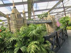 -南宫五洲植物乐园