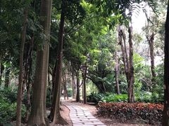 -南宁南湖公园