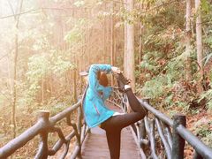 -九龙江国家森林公园