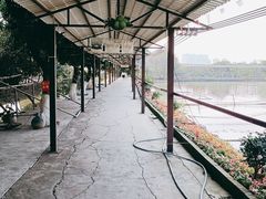 -伟记牛蹄(道滘店)