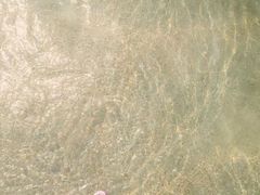 -西涌国际滨海旅游区