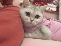 -深圳野生动物园宠物医院(西湖林语店)