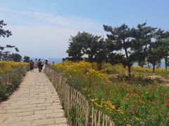-小麦岛公园