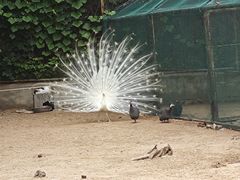 -秦皇岛野生动物园