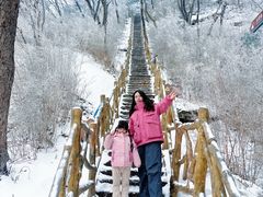 -洛阳白云山景区