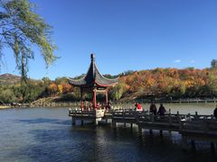 -竹叶涮肉坊(总店)