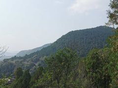 -四门塔风景区