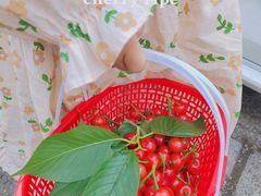 -樱桃山旅游景区