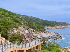 -广东惠东海龟国家级自然保护区