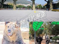 -南京金牛湖风景区