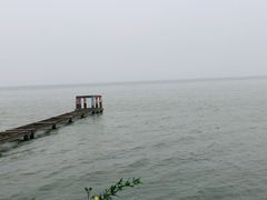 -贡湖湾湿地公园