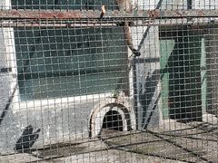 -保定市动物园