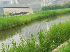 -保定东湖公园(莲池区)