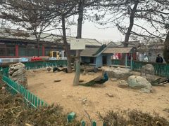 -有喜胶东小馆(太申祥和店)