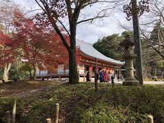 -醍醐寺