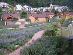 -德庆盘龙峡生态旅游区