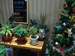 -Rabbit Cafe私房西餐甜点咖啡(栖霞路店)