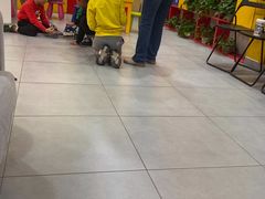 -韦哲乐高机器人·等级考试·少儿编程(羽山路校区)