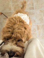 -WAVE SODA摄影工作室