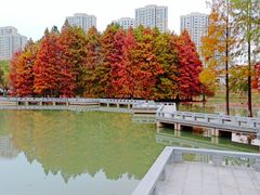 -白塘生态植物园