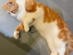 -臻鲜燕海鲜融合餐厅(金陵style店)