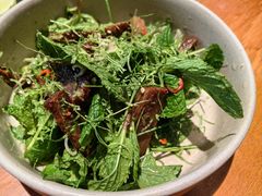 菌菇芝麻菜猪舌-SHAN山(前滩太古里店)