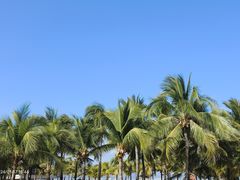 -三亚西岛海洋文化旅游区