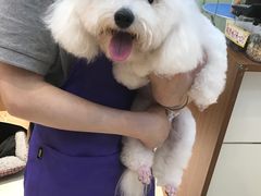 -PETKIT 小佩宠物·低压洗护·美容·寄养(安远店)