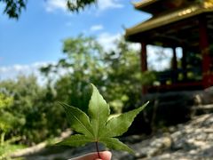 -大伊山景区