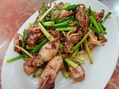 酱爆鲜鱿鱼-滑记海鲜饭店·老字号(海鲜街店)