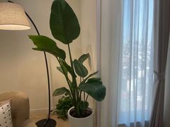 -壹点灵·心理咨询中心(中山公园店)