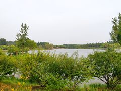 -东郊湿地公园