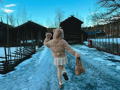 -挪威文化史博物馆