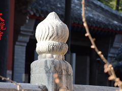 -大觉寺-停车场