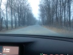 -北京美神宫艺术主题温泉酒店