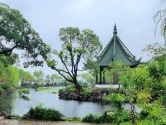-无锡蠡湖国家湿地公园-蠡园